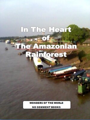 cover image of In the Heart of the Amazonia Rainforest 2